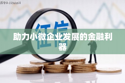 湖西助力小微企业发展的金融利器