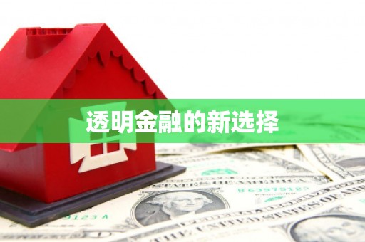 港口透明金融的新选择