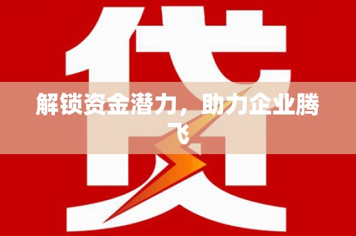 澧县解锁资金潜力，助力企业腾飞