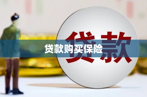 西屿贷款购买保险