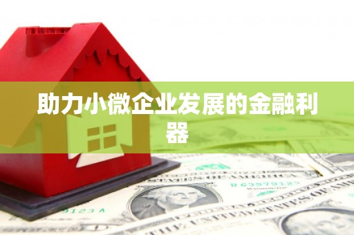 恒春助力小微企业发展的金融利器