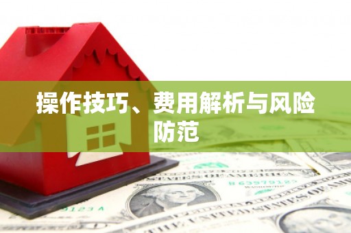 巧家操作技巧、费用解析与风险防范