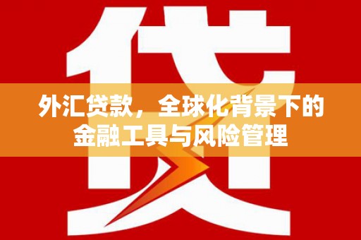 崖州外汇贷款，全球化背景下的金融工具与风险管理