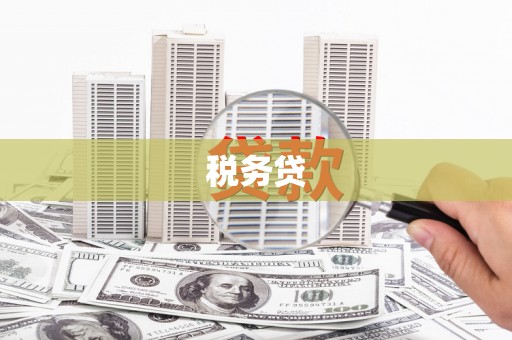 宝应县税务贷